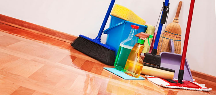 Регулярная уборка в квартире поможет предотвратить появление мокриц