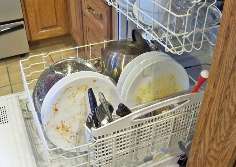 Тараканы в посудомоечной машине – как попадают, как избавиться?